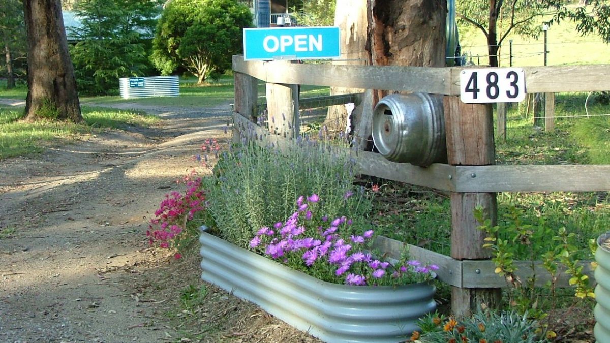 raised garden beds