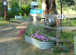 raised garden beds