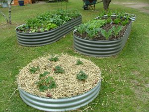 raised garden beds